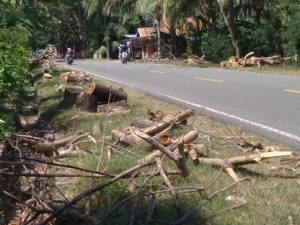 Ada yang Aneh di Bibir Jalan Poros Majene – Malunda