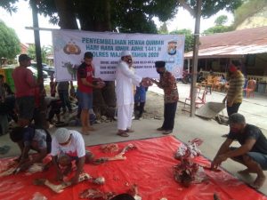 Polres Majene Kurban Empat Ekor Sapi dan Dua Ekor Kambing
