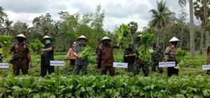 Bupati Bone Launching Program Family Farming