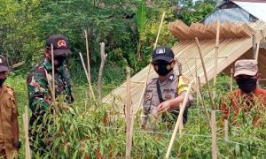 Bhabinkamtibmas Desa Sarude Bareng Babinsa Genjot Kampung Tangguh di Wilayahnya