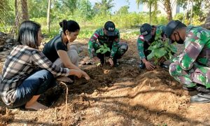 Warga Perbatasan di Sambas Dibantu Satgas Yonif 642 Buat Kebun Toga di Halaman Rumah