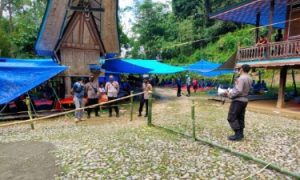 Judi Sabung Ayam di Tongkonan Ne’Rongko Dibubarkan Polisi Toraja Utara