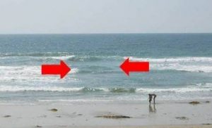 Mengenal si “Pembunuh” Boleran, Air Tenang Menghanyutkan di Pesisir Pantai