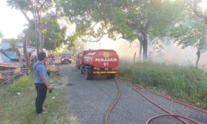 1 Hektar Lahan Pepohonan Milik Umpar Ludes Dilalap Api