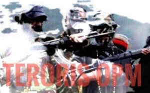 Tembak Tukang Bangunan, Kelompok Teroris OPM Kembali Bunuh Warga Sipil
