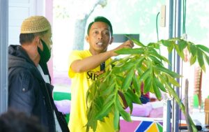 Petani Majene Belajar Budidaya Porang di Sidrap