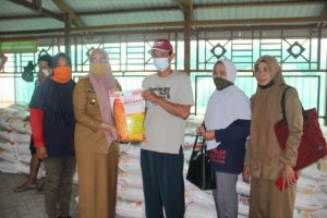 Tingkatkan Produktivitas Petani, Dinas PKP Parepare Bagikan Bibit Jagung Hibrida