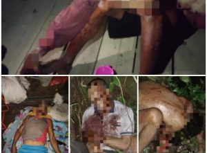 Sadis, Kelompok Teroris OPM Bunuh 5 Warga Sipil di Kampung Bingki