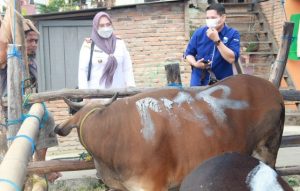 Keutamaan Qurban Hari Raya Idul Adha