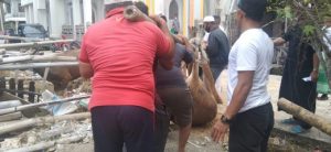 Pengurus Masjid Jami’atul Haeriyah Siwa Door to Door Bagi Hewan Qurban
