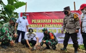 Hijaukan Kembali Wajo, Amran Mahmud Galakkan Penanaman Sejuta Pohon