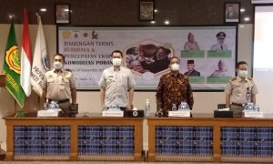 38 Petani di Majene Dibekali Teknik Budidaya dan Percepatan Ekspor Komoditas Porang
