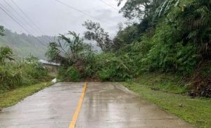 Longsor di Mamasa, Sejumlah Titik Longsor Tutupi Jalan Poros Mamasa-Mamuju