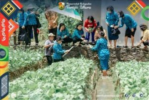 TP-PKK Toraja Utara Laksanakan Lomba Pekarangan Produktif