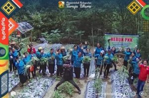 Ketua TP PKK Toraja Utara Tinjau Kebun Percontohan di Lembang Nonongan