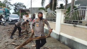 Respon Cepat Brimob Bone Tebang 4 Pohon Lapuk  Bahayakan Pengguna Jalan