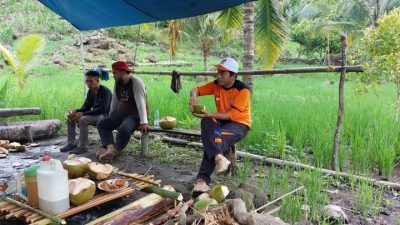 Hama Babi di Adolang, Budi Mansur Tergerak Buatkan Pagar dan Setrum Babi Lewat Pokir 2022