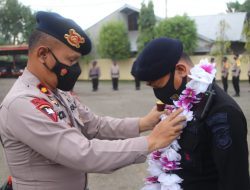 Misi di Bumi Cendrawasih Usai, 1 SST Brimob Bone Kembali Ke Mako