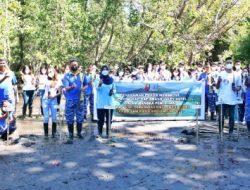 Tanam 100 Pohon Mangrove, Ini Harapan Danlanud Sam Ratulangi