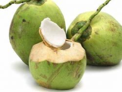 Komsumsi Air Kelapa Saat Buka Puasa, Ini 5 Manfaatnya
