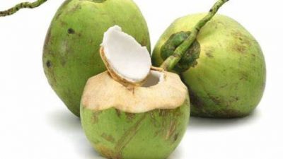 Komsumsi Air Kelapa Saat Buka Puasa