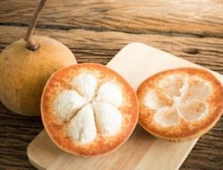15 Manfaat Buah Sattung (Kecapi), Buah yang Mulai Langka dengan Rasa Sangat Kecut