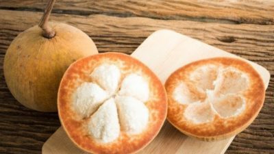 Manfaat Buah Sattung