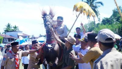 Bupati Majene AST Jajal Kuda Menari di Pellattoang