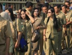 4.000 Tenaga Honorer di Majene Menunggu Nasib Hingga November 2023, Ada yang Dikeluarkan?