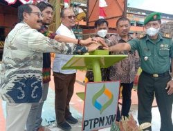 PTPN XIV Giling Perdana Tebu di PG Arasoe Bone