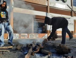 Di Tengah Jam Kantor, Puluhan Mahasiswa Bakar Ubi di Halaman Kantor Buopati Majene