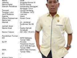 Profil 25 Anggota DPRD Majene Periode 2019-2024 (Sadli)