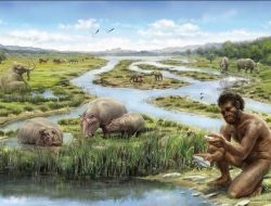 Menguak Sejarah Dibalik Spesies Homo Erectus