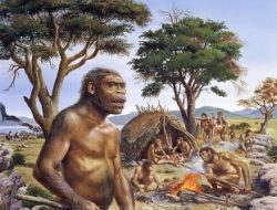 Kegigihan Berburu pada Homo Erectus