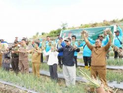 Dukung Pangan IKN, Wamentan Akan Terus Kembangkan Food Estate di Majene