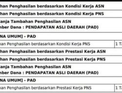 TPP ASN Majene akan Dibayarkan. Adi Ahsan: Kabar Gembira atau Kabar Menunda Duka?