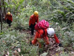 Seorang Kakek 75 Tahun di Tapalang Dilaporkan Hilang di Hutan