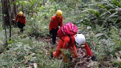 Seorang Kakek 75 Tahun di Tapalang Dilaporkan Hilang di Hutan