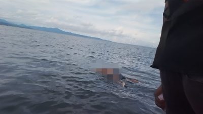 sunrewang ditemukan perairan silopo