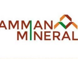 Garap Proyek Raksasa, Amman Mineral Tawarkan Harga IPO hingga Rp 1.775 per Saham