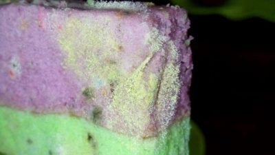 Lagi Lagi Pelatihan di Majene, Kue yang Disajikan Panitia “BULUKAPIANG”