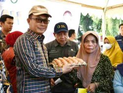 Patut Berbangga, Sulbar Tercepat Turunkan Angka Stunting di Sulawesi