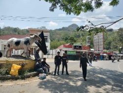 Aliansi Pemuda dan Mahasiswa Toraja Peduli Kebakaran di La’bo Gelar Aksi Galang Dana