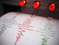 Gempa M 5,8 Guncang Barat Laut Kepulauan Sangihe, Tidak Berpotensi Tsunami