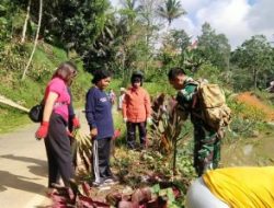 Gotong Royong Bersama Masyarakat Personil Koramil Sanggalangi Laksanakan Kerja Bakti Pembersihan Jalan