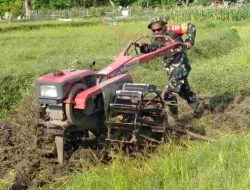 Pakai Seragam Loreng, Anggota TNI Bajak Sawah