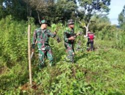 TNI/Polri dan Masyarakat Melaksanakan Penanaman Pohon Guna Melestarikan Lingkungan Hidup
