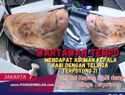 Wartawan Tempo Mendapat Kiriman Kepala Babi dengan Telinga Terpotong !!
