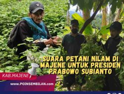 Suara Petani Nilam di Majene untuk PresidenPrabowo Subianto