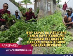 WBP Lapas IIA Parepare Panen Raya Kangkung, Program Ketahanan Pangan Dibalik Tembok Penjara Berhasil